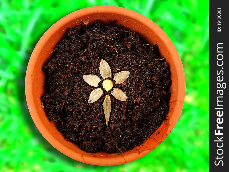 A flower made out of seeds in a flower pot full of soil. Bright green grass in the background. A flower made out of seeds in a flower pot full of soil. Bright green grass in the background.