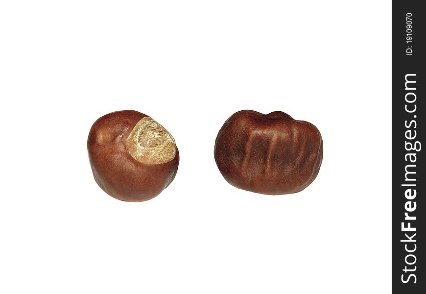 Two ripe chestnut isolated on white background