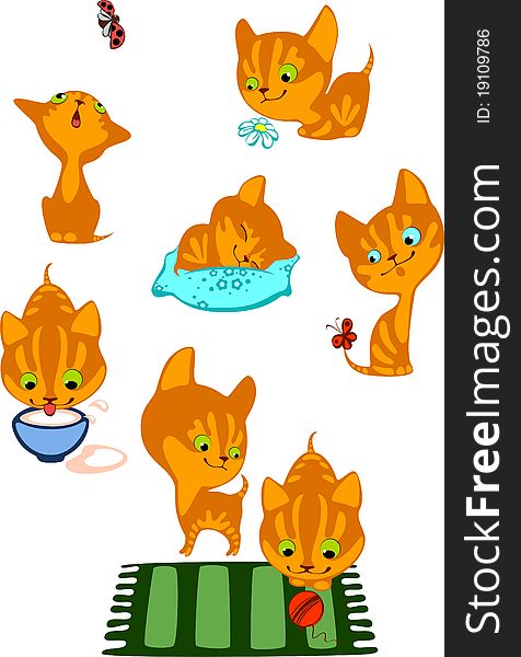 The complete set of cheerful red kittens. The complete set of cheerful red kittens