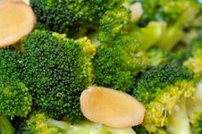 Macro Of Green Broccoli Royalty Free Stock Images Macro Of Green Broccoli Royalty Free Stock Images
