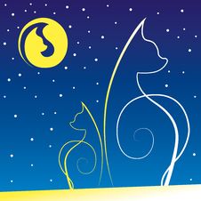 Two Cats At Night On A Roof Royalty Free Stock Images Two Cats At Night On A Roof Royalty Free Stock Images