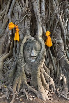 Head Of The Sand Stone Buddha Image Royalty Free Stock Photos Head Of The Sand Stone Buddha Image Royalty Free Stock Photos