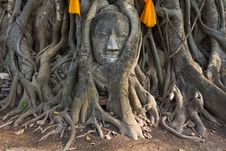 Head Of The Sand Stone Buddha Image Royalty Free Stock Photos Head Of The Sand Stone Buddha Image Royalty Free Stock Photos