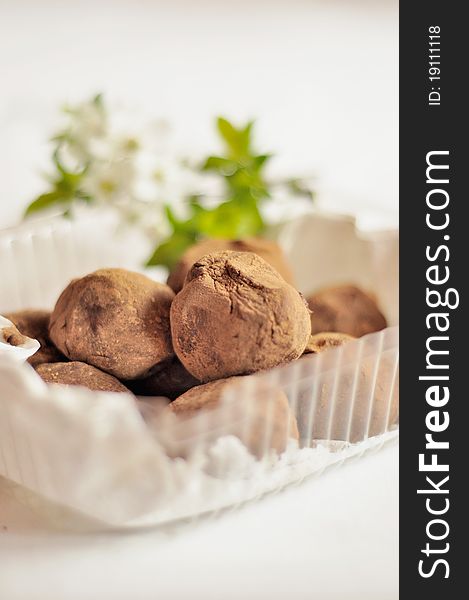 Delicious chocolate truffles with white flowers in the background