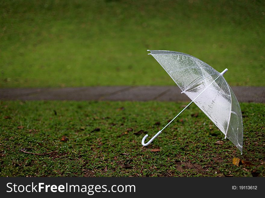 Transparent umbrella on a field