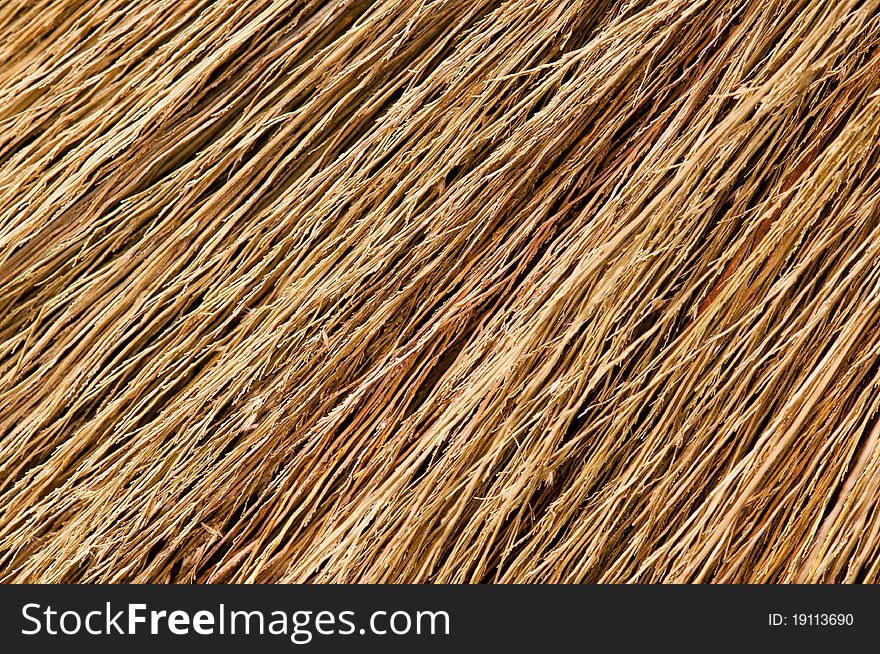 Close up detail of a broom texture. Grunge texture of dry grasson.