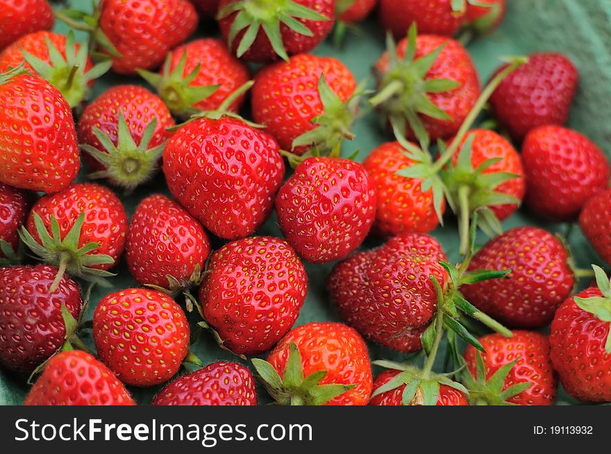 Freshly picked healthy and juicy red strawberries. Freshly picked healthy and juicy red strawberries.