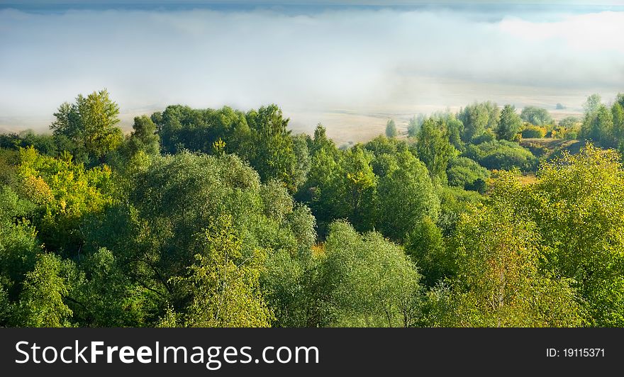 Autumn landscape with mist and tree, several overhand. Autumn landscape with mist and tree, several overhand.