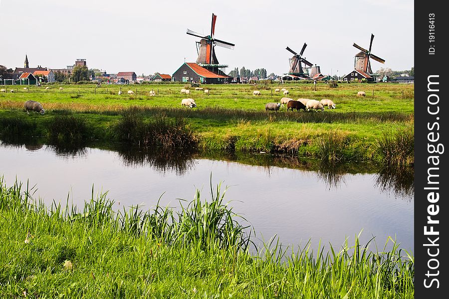 Dutch windmills in Netherlands