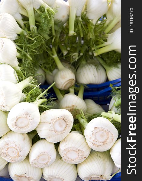 Fennel at an exhibition in the market. Fennel at an exhibition in the market