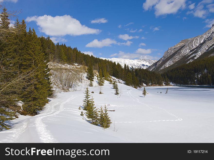 Snow Shoeing In Banff National Park