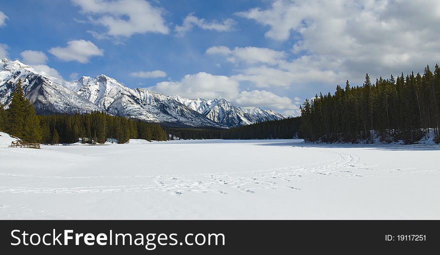 Snow Shoeing In Banff National Park