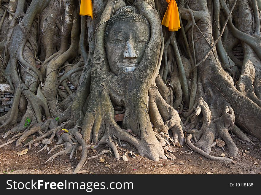 Head of The Sand Stone Buddha Image in wat mahathat temple, Ayutthaya Thailand