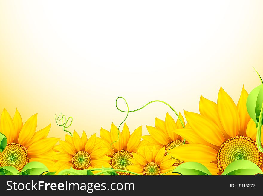 Illustration of bunch of sunflowers on abstract background. Illustration of bunch of sunflowers on abstract background