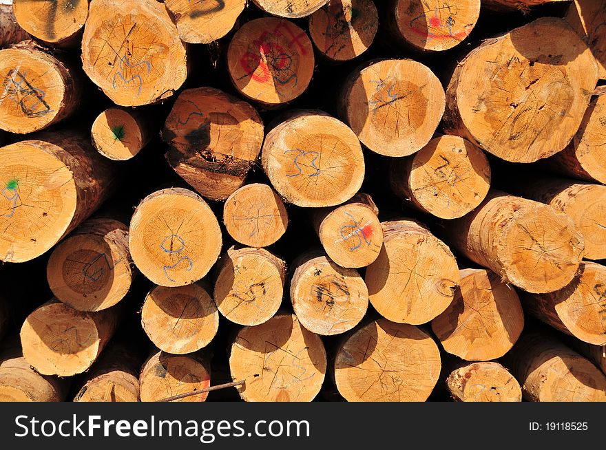 A batch of   cutted logs