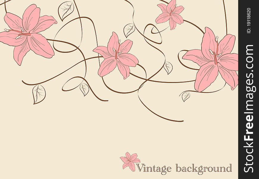 Vector pictures with lilia flowers. Vector pictures with lilia flowers