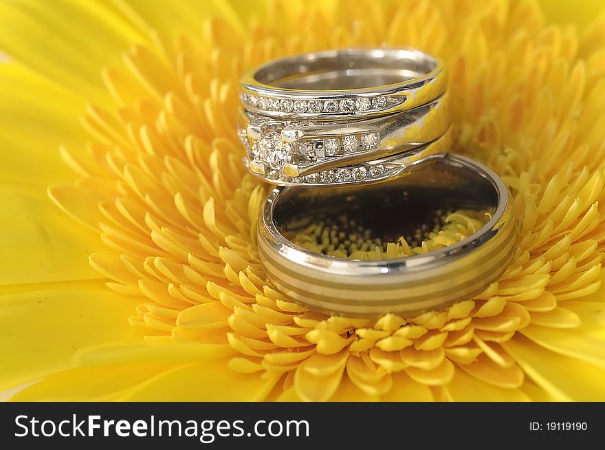 Wedding rings on a yellow flower