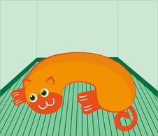 Orange Cat On The Floor Royalty Free Stock Photography Orange Cat On The Floor Royalty Free Stock Photography