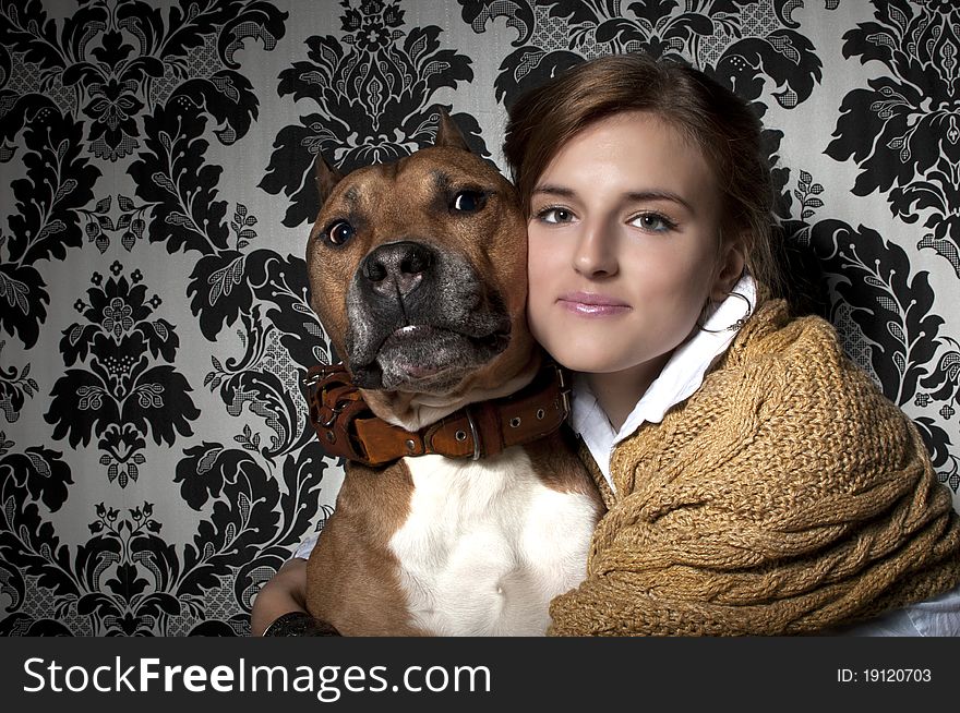 Portret of brown American Staffordshire Terrier with young and beautiful girl. Portret of brown American Staffordshire Terrier with young and beautiful girl