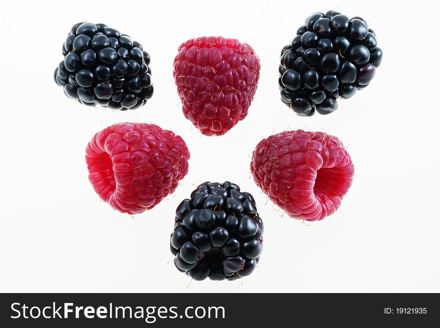 Raspberries and blackberries isolated on white background