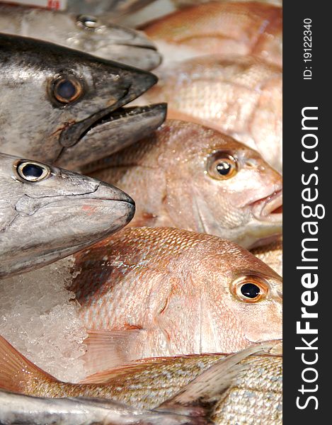 A bonito and snapper on ice at a fish market.