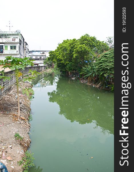 The canal environment  of thailand. The canal environment  of thailand