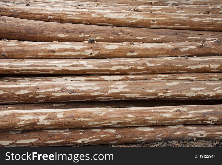 Stripped of bark timber,wood