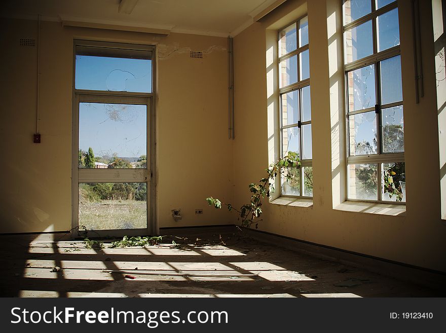 Blackberry vine creeping through windows at Willow Court, an abandoned asylum in Tasmania. Blackberry vine creeping through windows at Willow Court, an abandoned asylum in Tasmania.