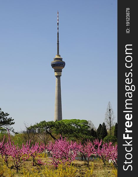 TV tower in the spring. TV tower in the spring