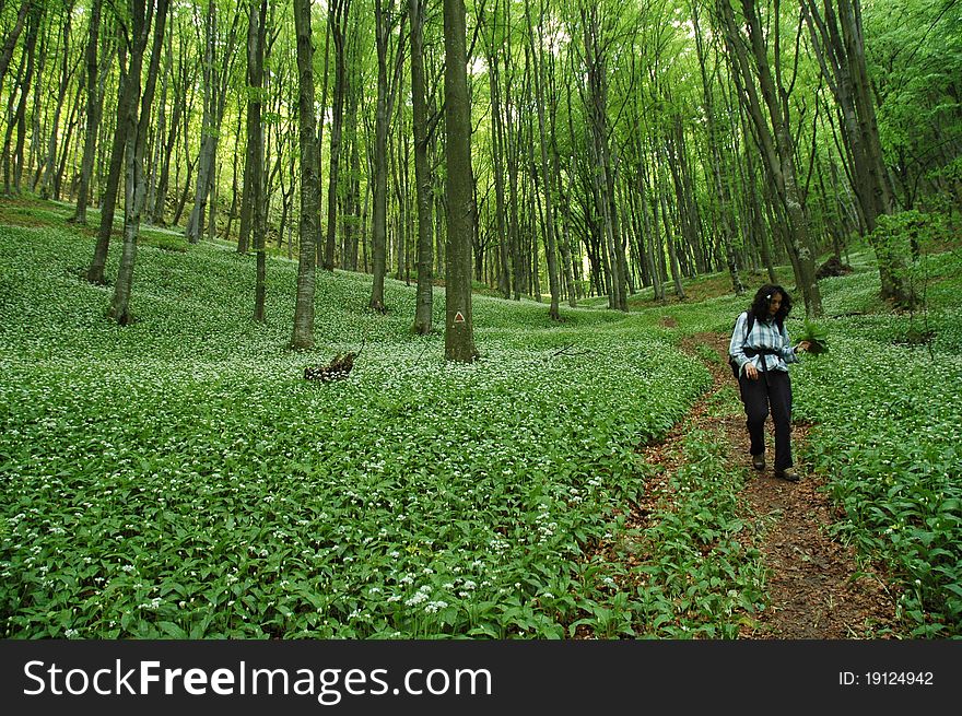 Pathway in green forest with a trekking girl