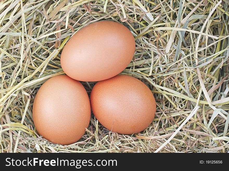 Three fresh eggs in hay