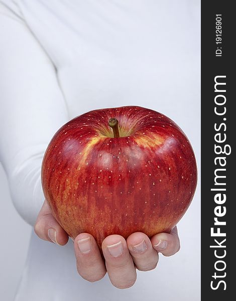 Woman holding redapple in hands isolated on white. Woman holding redapple in hands isolated on white