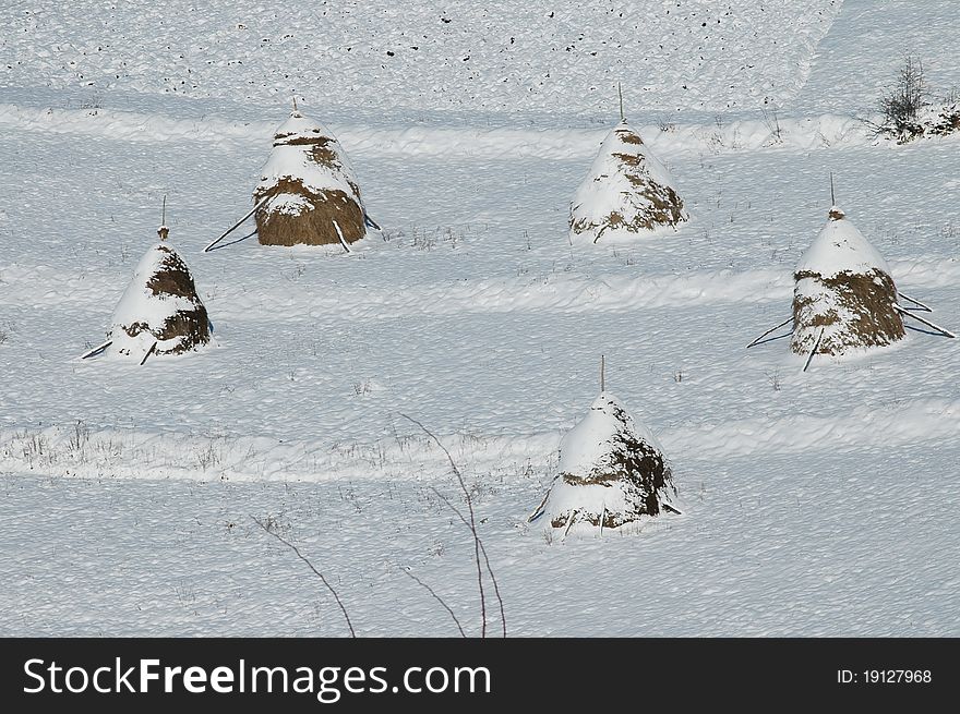 Haystacks in the mountains of bright frosty winter day. Haystacks in the mountains of bright frosty winter day