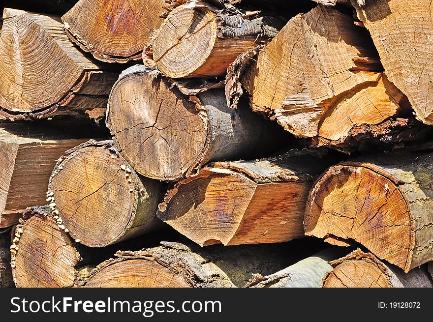 Renewable resources. Closeup of chopped firewood logs stacked in a pile.