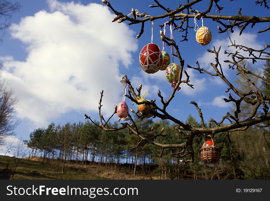 Easter eggs in a tree, regional decorating in the Czech Republic