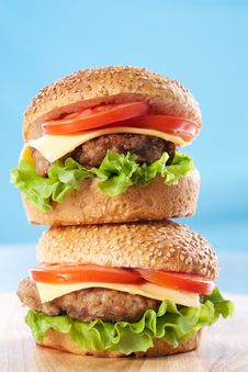 Two Cheeseburgers Royalty Free Stock Photos Two Cheeseburgers Royalty Free Stock Photos
