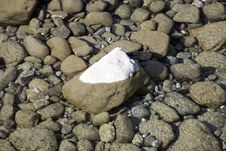 Stone In The River Stock Photos Stone In The River Stock Photos