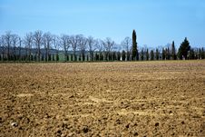 Tuscany Fields Stock Images Tuscany Fields Stock Images