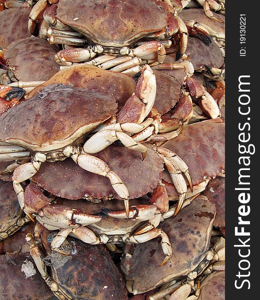 Several brown crabs on a fish market, detail vertical photo