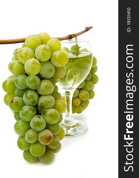 Vine and glass of wine on a white background