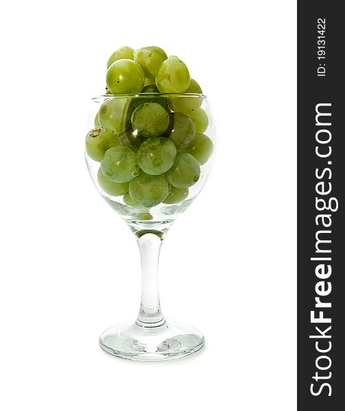 Vine In Glass