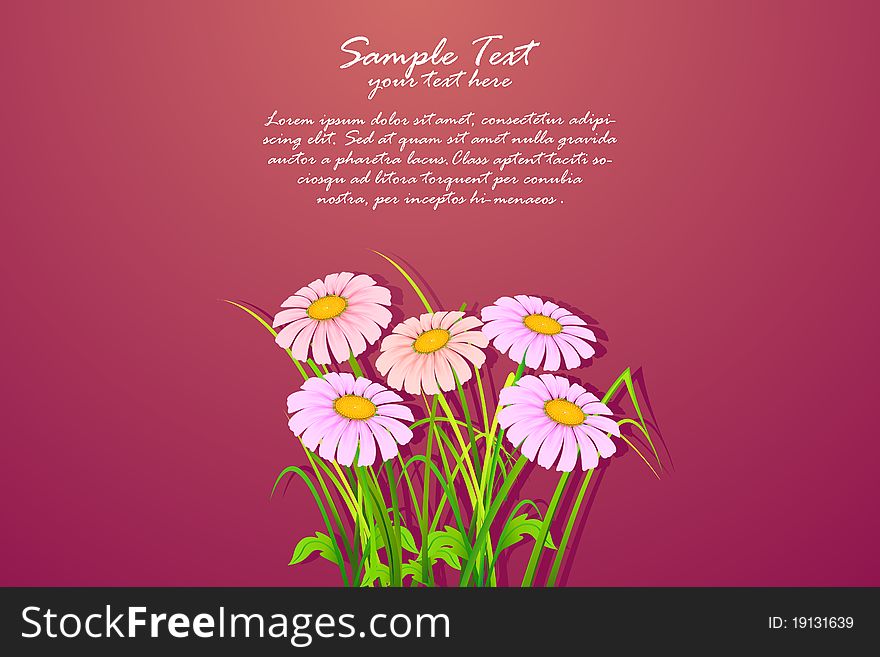 Illustration of bunch of daisy flowers on abstract background