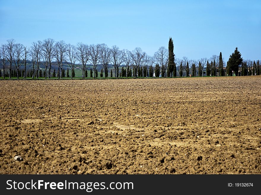 Tuscany Fields