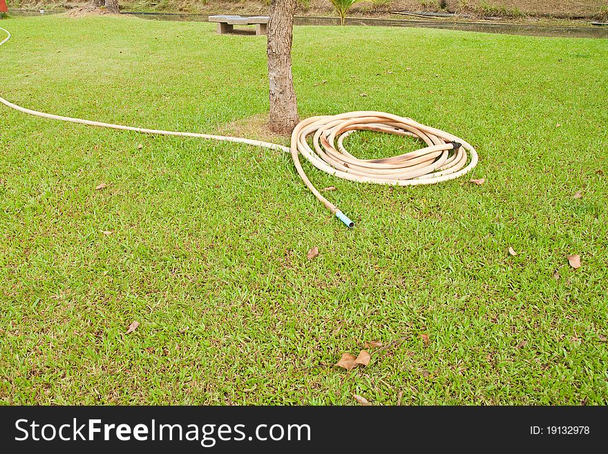 Reel of hose pipe in the garden