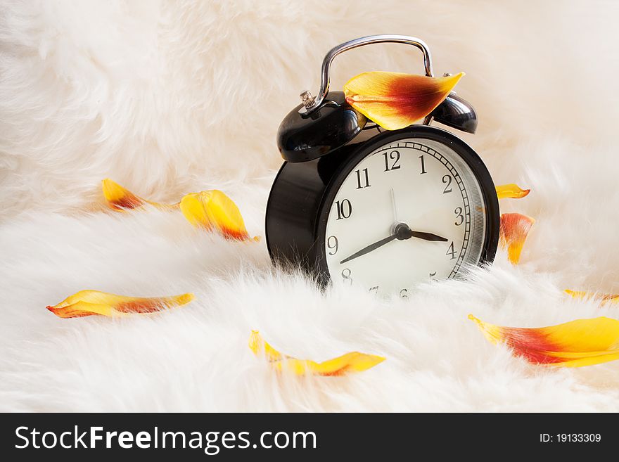 Vintage alarm clock on a warm rug with petals