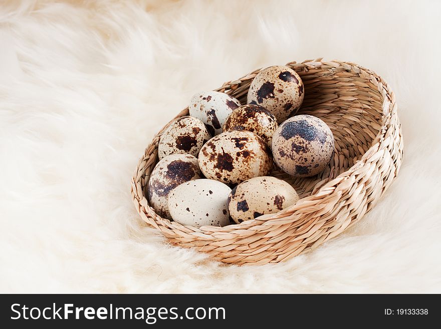 Group colored quail eggs in a beautiful basket