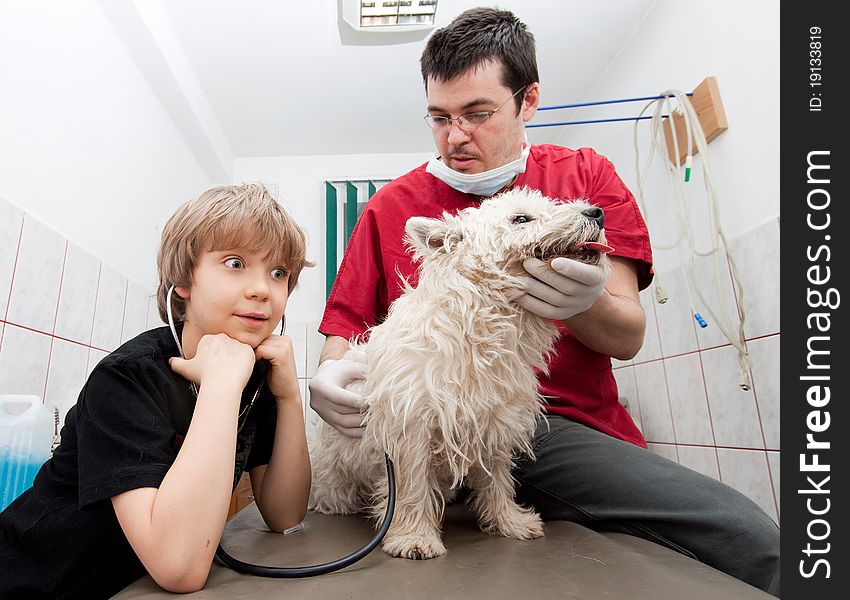 Little boy at vet listening to his dog's heartbeats in stethoscope. Little boy at vet listening to his dog's heartbeats in stethoscope