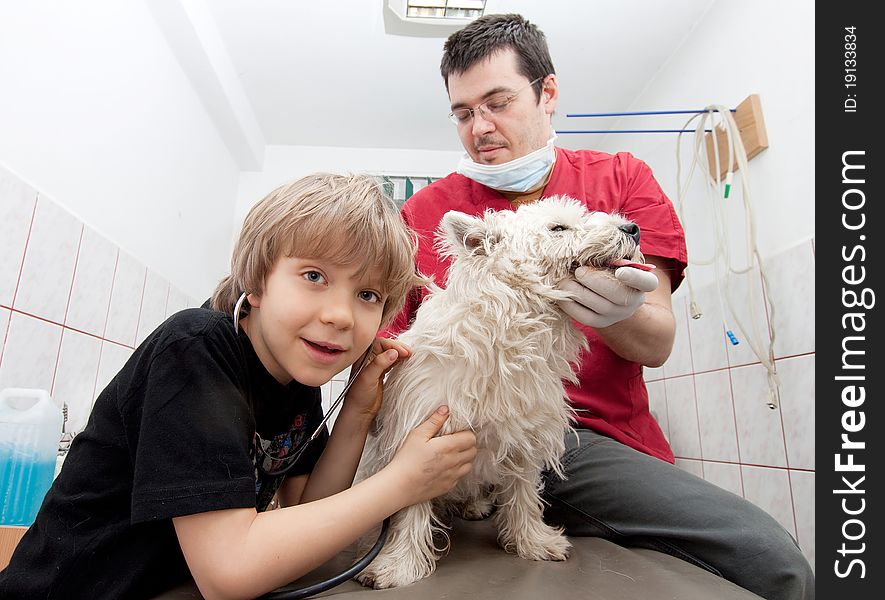 Little boy at vet listening to his dog's heartbeats in stethoscope. Little boy at vet listening to his dog's heartbeats in stethoscope