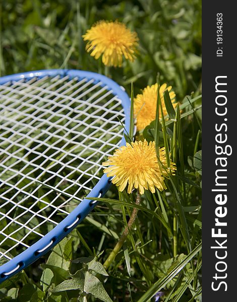 Blue badminton racket in grass. Blue badminton racket in grass