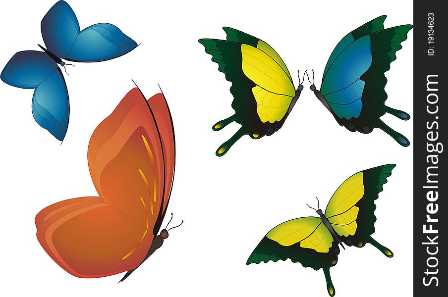 Five butterflies set. Vector illustration. Five butterflies set. Vector illustration.